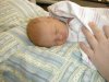 Annabelle on a pillow in her mother's hospital room.